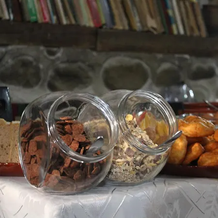 Gasthuis старата тонина къща