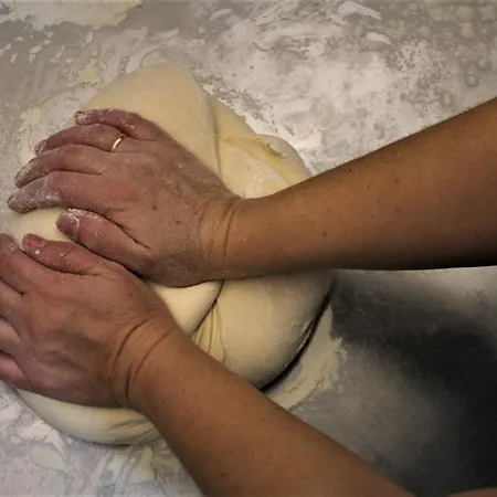 Гостевой дом старата тонина къща