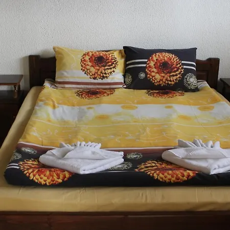 старата тонина къща Добриниште