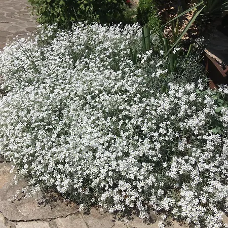 Гостевой дом старата тонина къща *