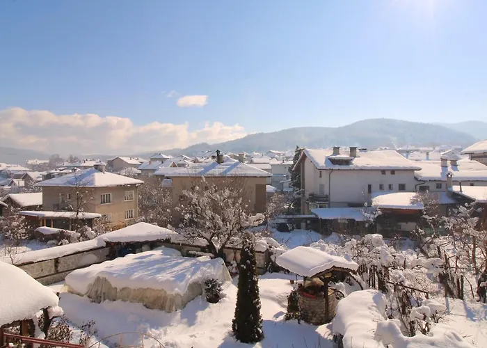 게스트하우스 старата тонина къща *