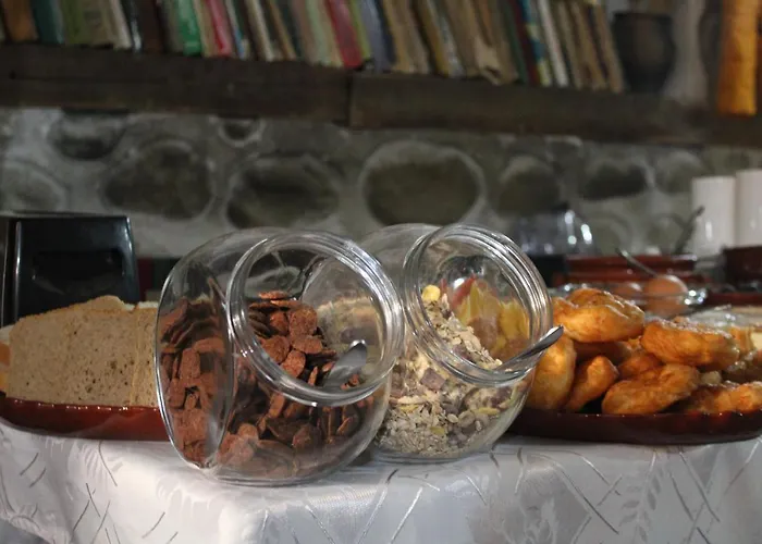 게스트하우스 старата тонина къща