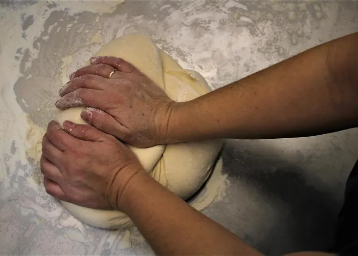 게스트하우스 старата тонина къща