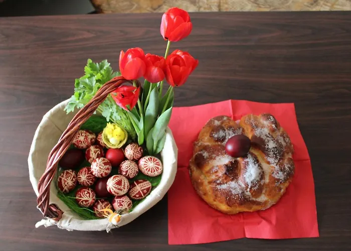 게스트하우스 старата тонина къща 도브리니쉬트