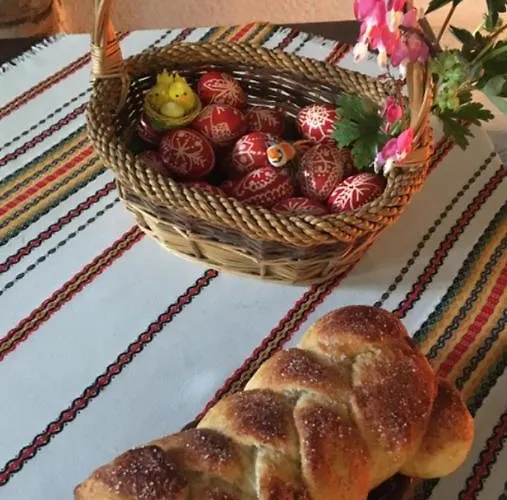 게스트하우스 старата тонина къща *