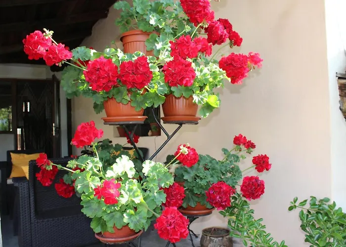 게스트하우스 старата тонина къща *