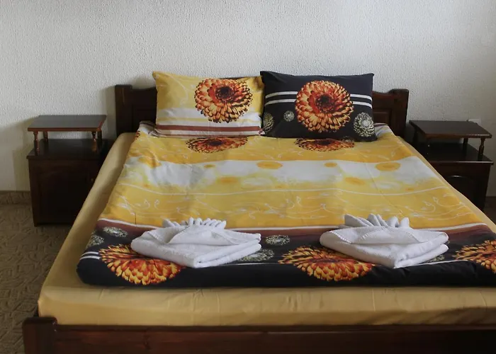 старата тонина къща 도브리니쉬트